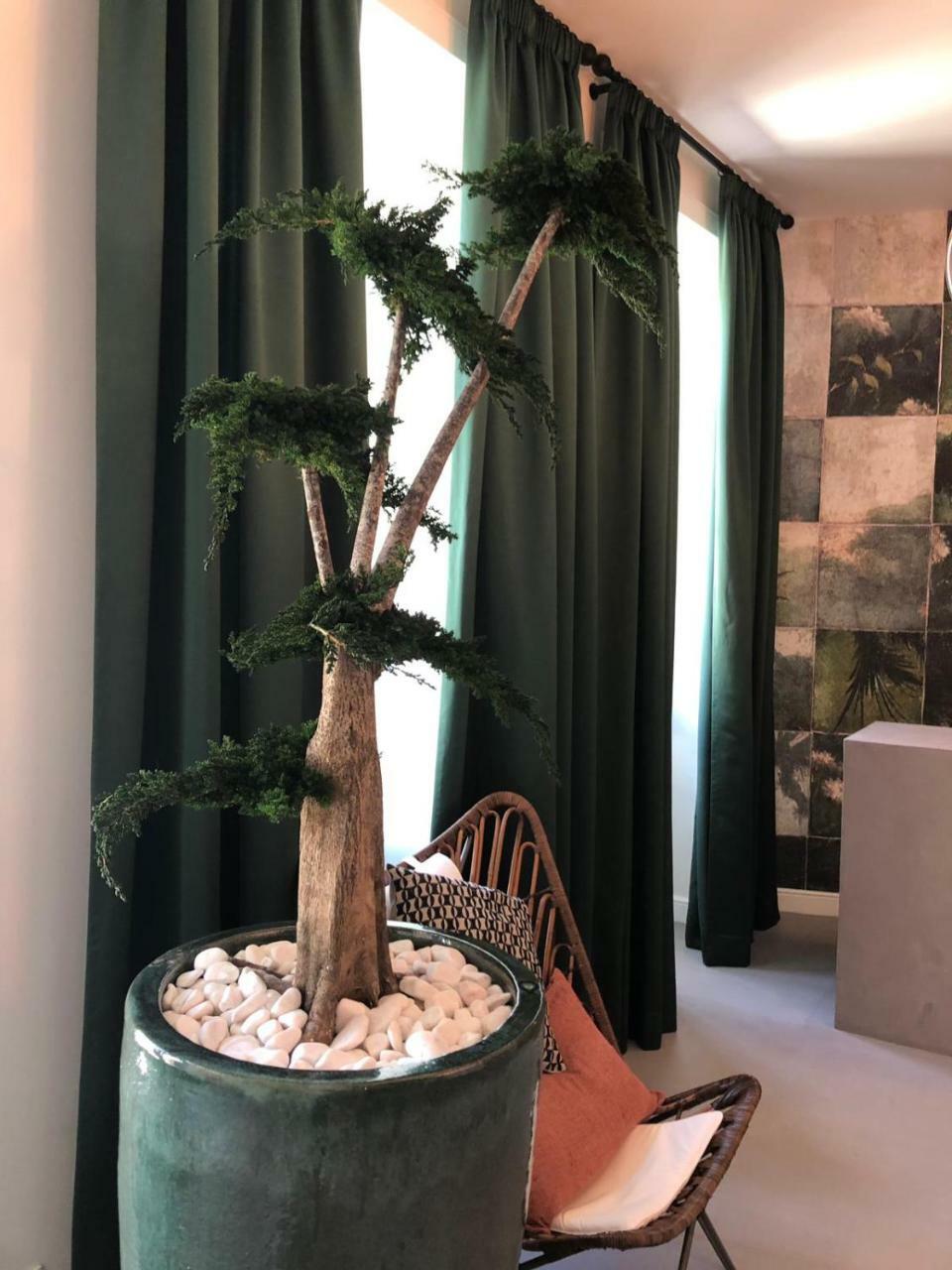 Alameda Exclusive House Auberge de jeunesse *